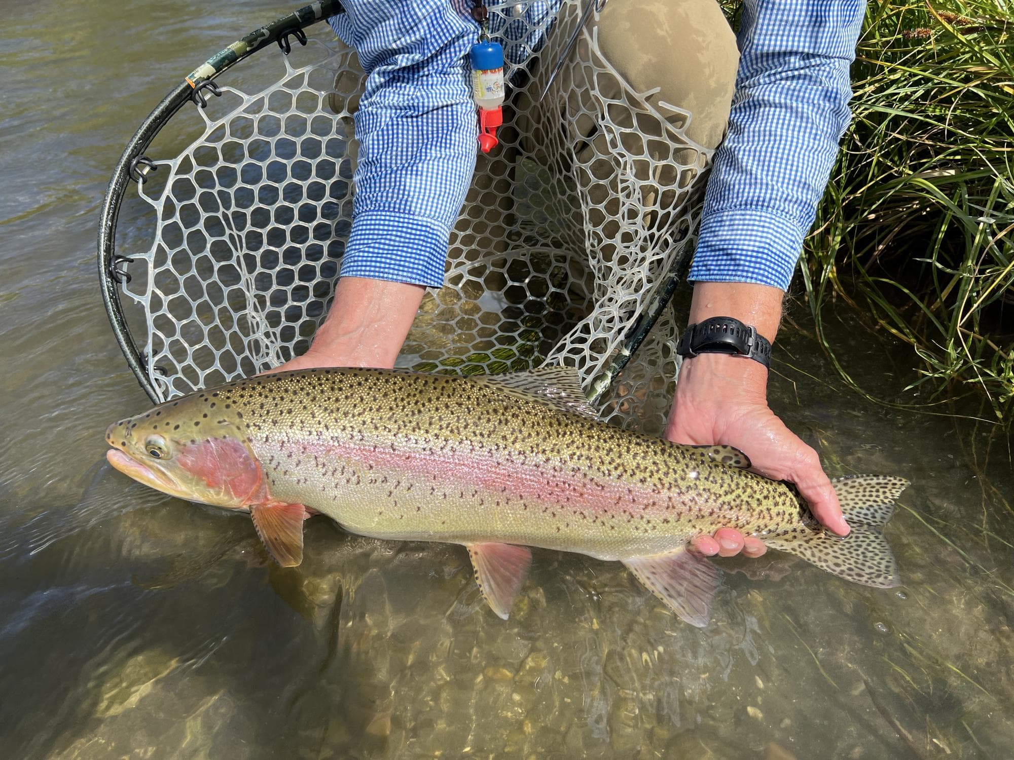 September 2, 2023