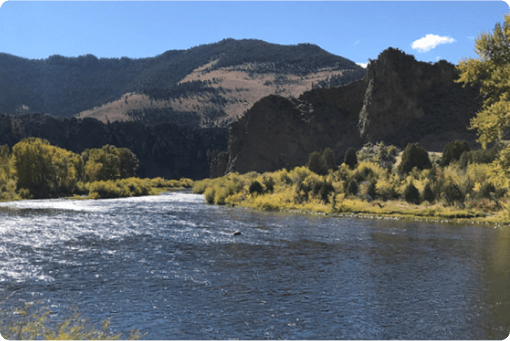 Big Hole River — guided fly fishing water near Dillon, MT