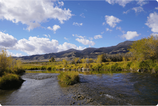 Ruby River — guided fly fishing water near Dillon, MT